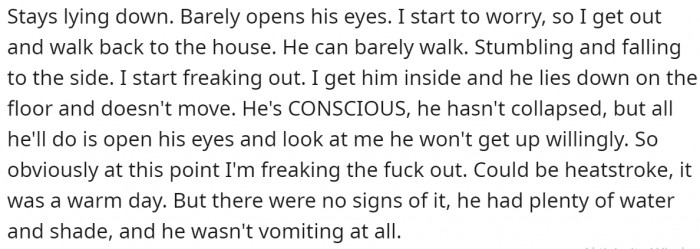 He is lethargic, doesn't want to play, or even move