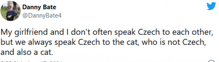 22. Having a bilingual cat is genius
