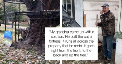 Beloved Cat Is Treated To A Homemade Outdoor Playground