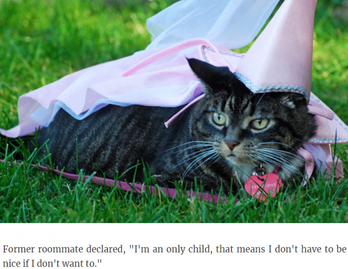 25. So being an only child automatically gives you character choices?