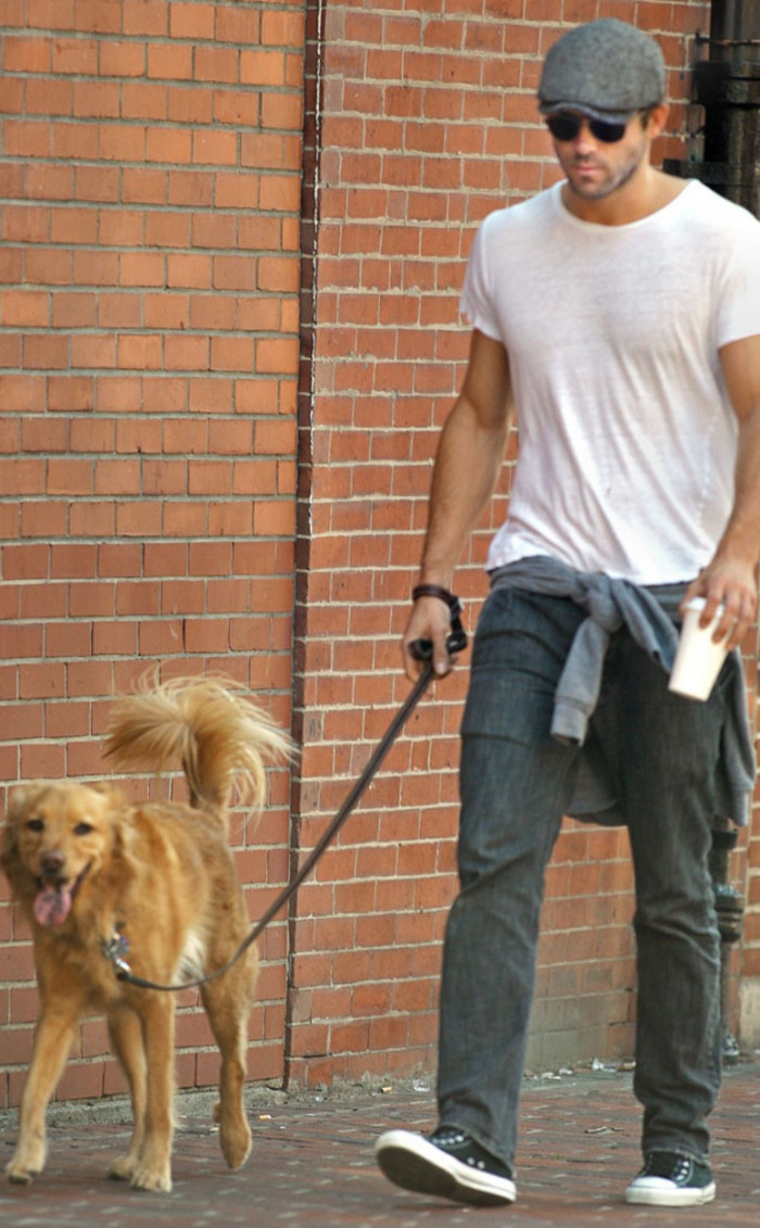 34. Ryan Reynolds and his rescue dog, Baxter