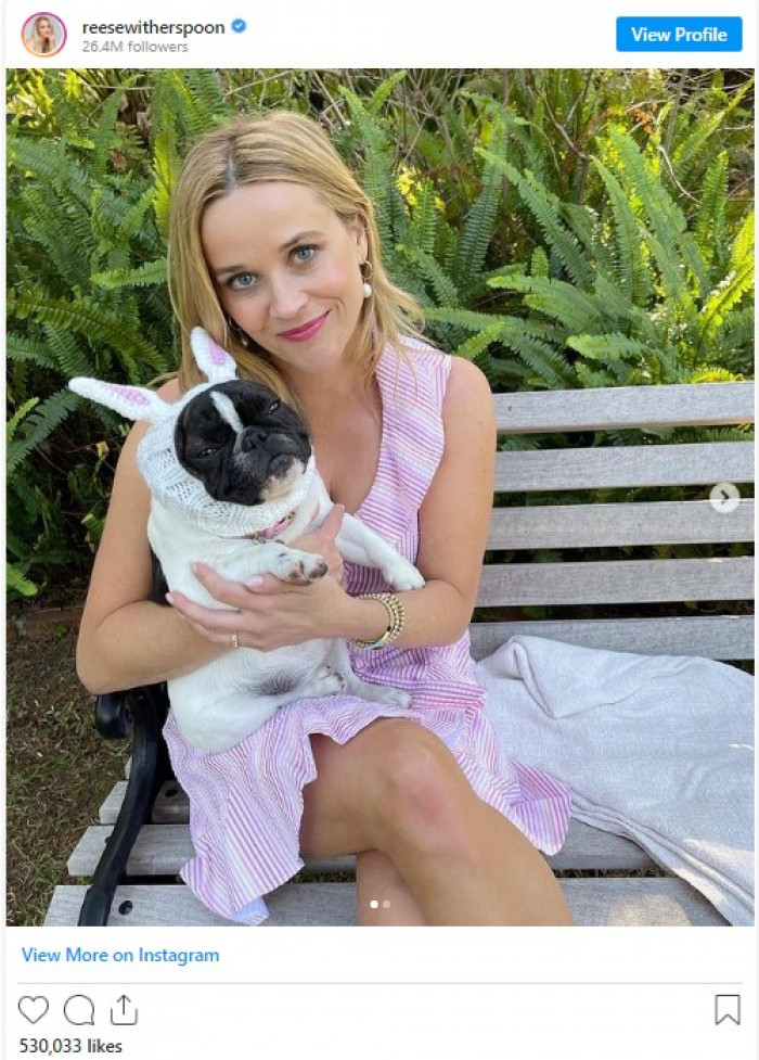 2. Reese Witherspoon and her costumed dog, Minnie.