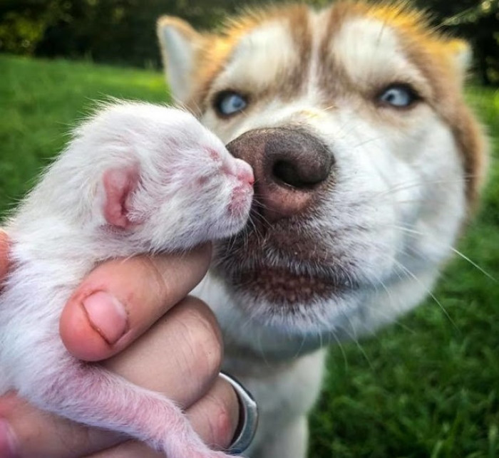 A happy new home for all!