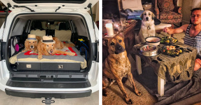 Dog Owners Are Showing Off Some Of The Best Things They Ever Did For Their Dogs