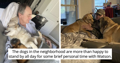 Moment Lady Strolls In To Find Her Father Napping With The Neighborhood Dogs Will Make You Smile