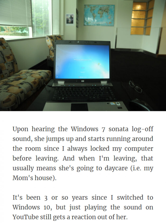 39. Triggered by Windows