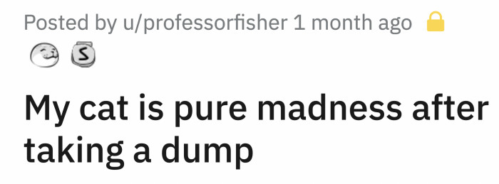 It has been thousands of years since cats decided that humans are cool, but some of their behaviors are still a novelty to us