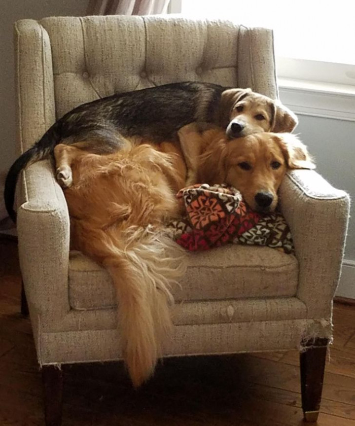 16. The perfect cuddling position for watching TV shows.