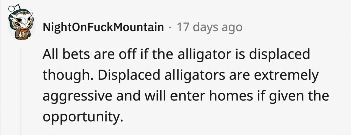 5. There are all kinds of tricks to escape an alligator, but they might not apply when it’s displaced.