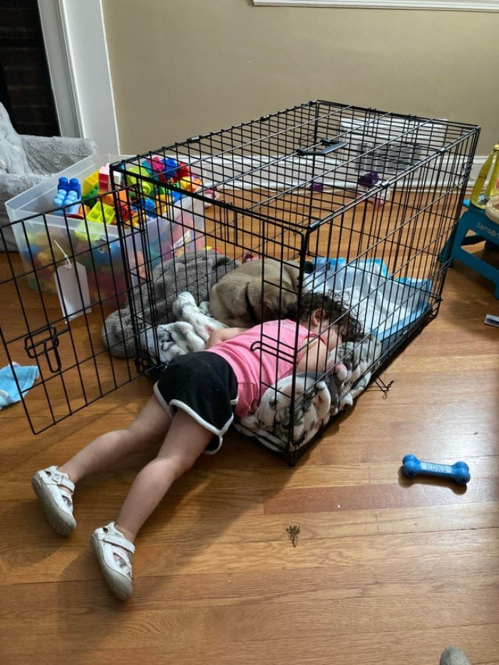 2. My daughter won't leave our newly adopted puppy's side