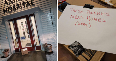 Vet Staff Members Were Greeted With A Surprise Gift At Their Doorstep When They Arrived to Work