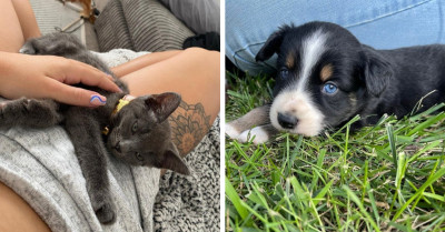 20 Short Pet Adoption Stories From Reddit That Will Surely Make Your Day Brighter
