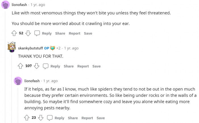 Meanwhile, lionofash came with more nightmare fuel for OP to digest.