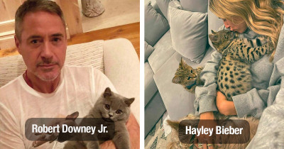 Adorable Cats Proudly Pose For Photos With Their Celebrity Parents