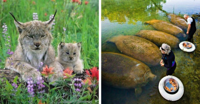 19 Of The Most Adorable Animals Who Don’t Even Know How Precious They Truly Are