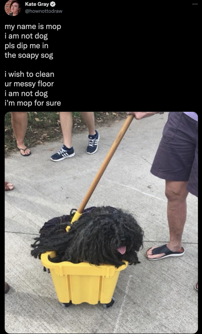 20. This overworked mop/dog