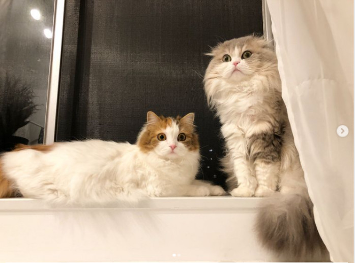 4. That moment you're told to shower twice a day