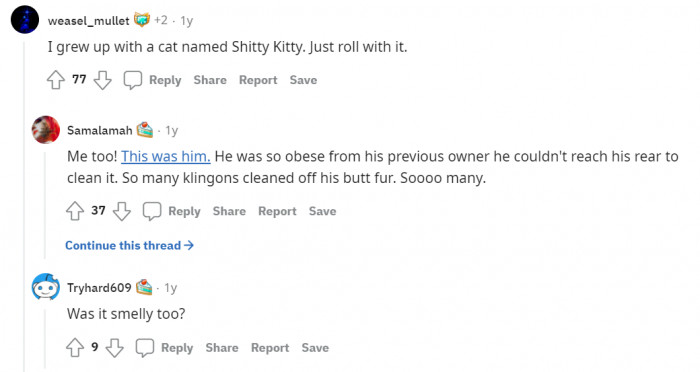 Then there are also a cats named Shitty Kitty.