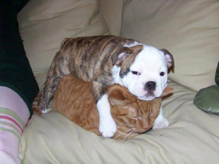 3. Just me and my buddy having a good time