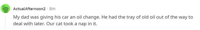 11. We can only imagine how thorough the bath was after the incident.