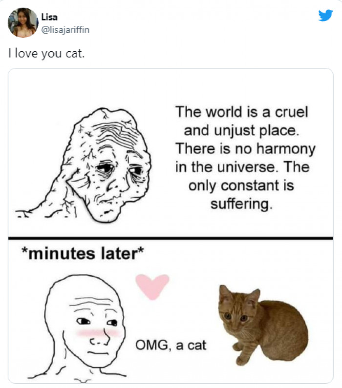 20. Kitties fill the world with love.