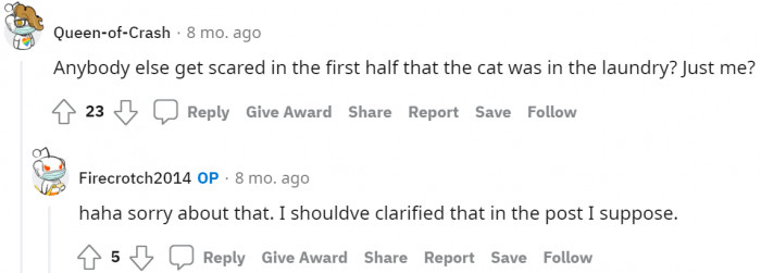 #6 Cats in the laundry?