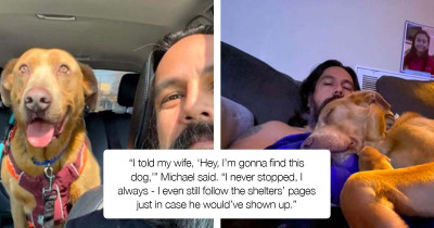 Man Who Swore He'd Never Stop Looking For His Lost Dog Finally Finds Him After 4 Years