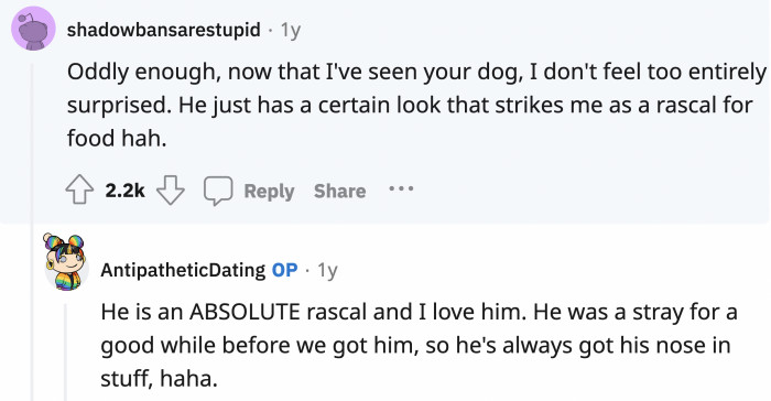 A lot of Redditors agreed that the dog does look mischievous but adorable nevertheless