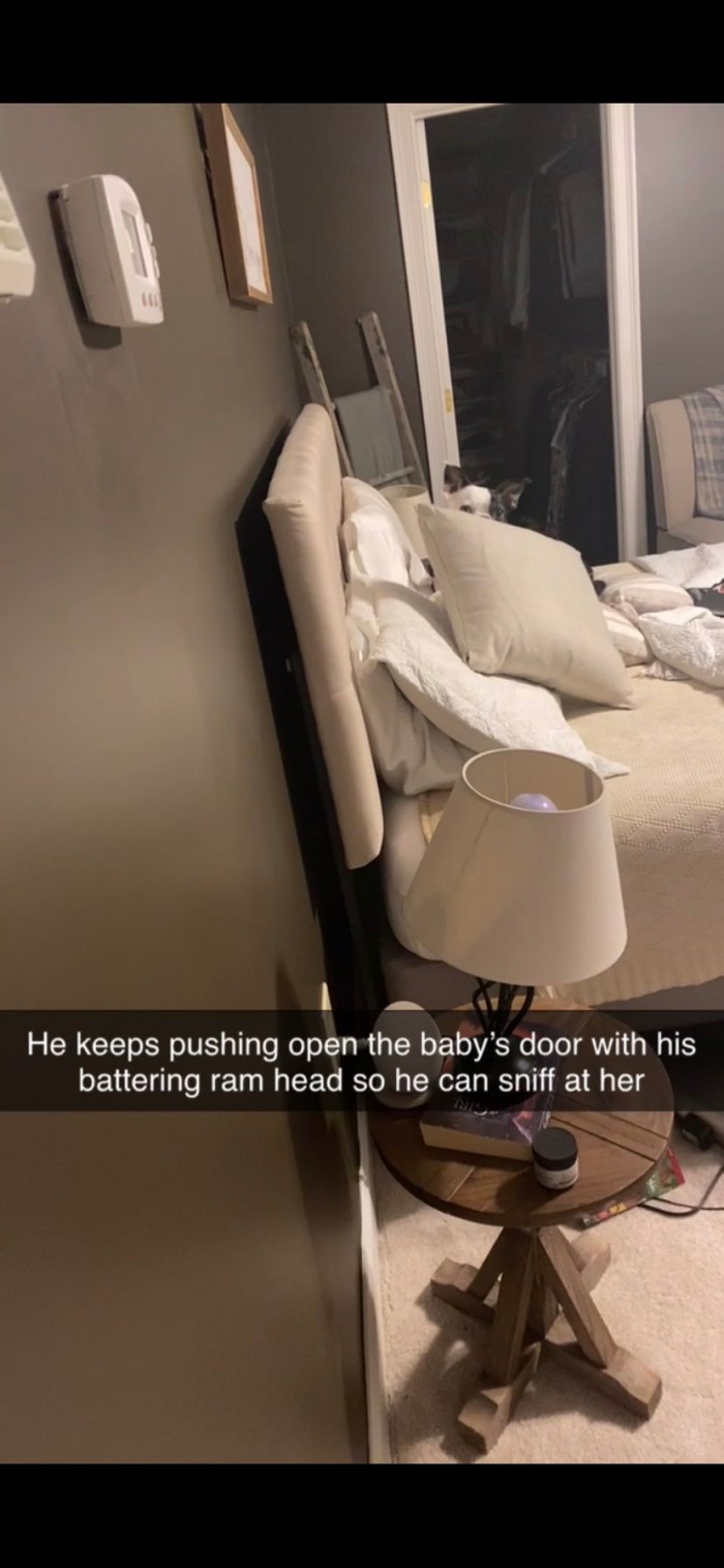 Henry knew something was up and was very persistent in letting them know