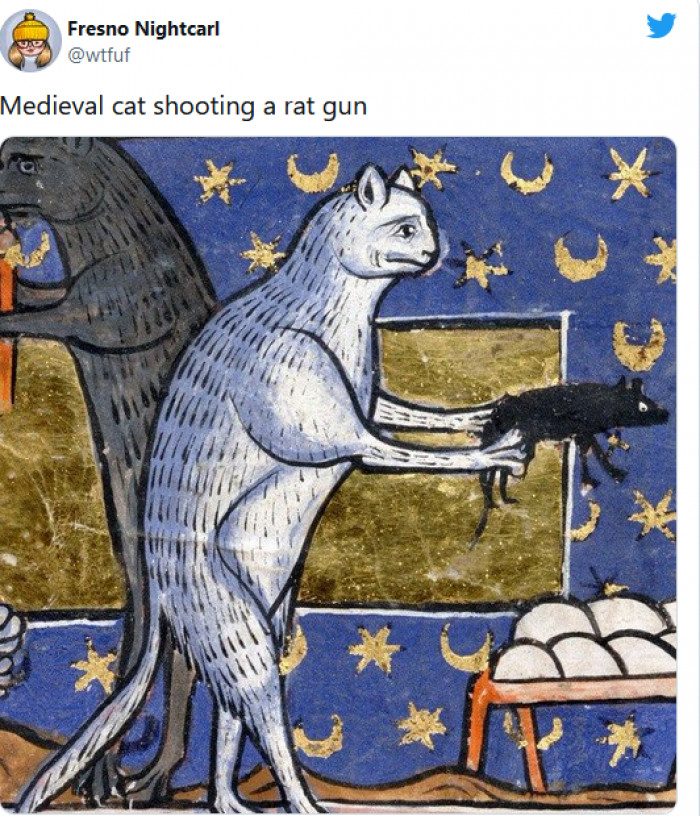 2. Even in medieval times, cats were causing chaos
