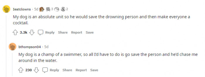 2. The dog will probably save everyone