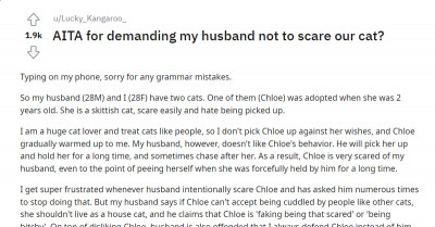 Woman On Reddit Thinks That Her Husband Is A Huge Bully For Always Scaring Their Jittery Cat
