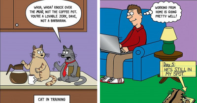 30 Amusing Cat Comics That Will Make Any Cat Owner Laugh and Cry at the Same Time