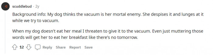 24. The vacuum horror