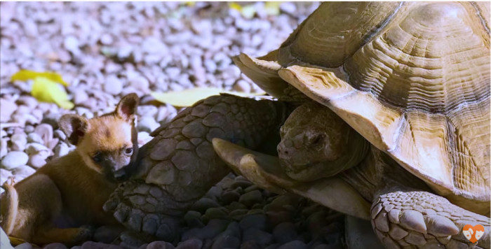 “I believe he was ecstatic, and I believe he adored it,” Andrea says.