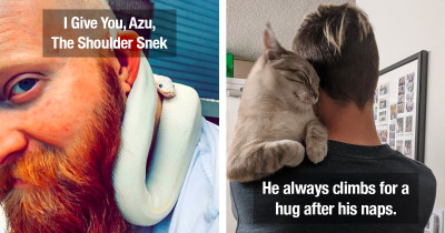 Animals Dubbed As "Shoulder Pets" Because They Love Hanging Out On Their Humans' Shoulders More Than Anything