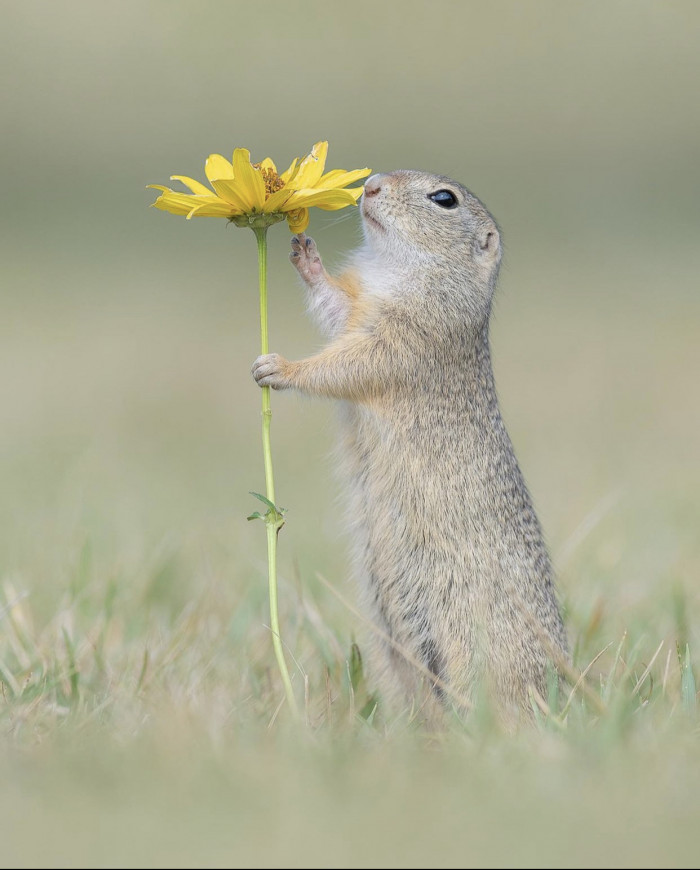 “Someday I’ll be taller than you flower”