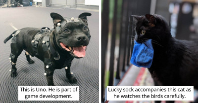 18 Animals That Are So Cute, They'll Make You Smile Ear to Ear