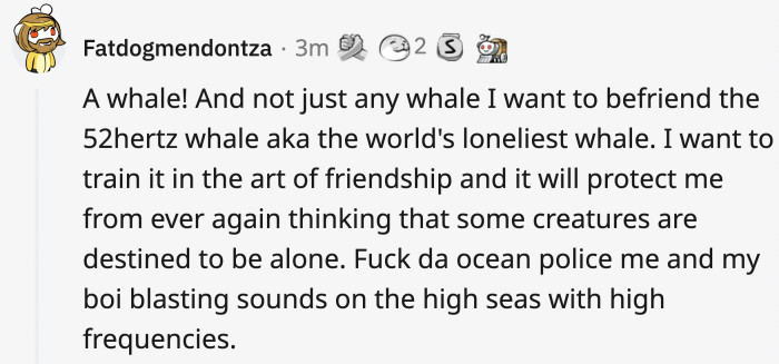 This wholesome answer
