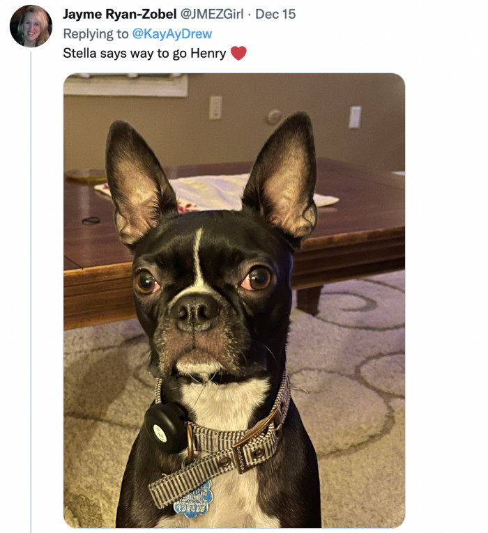 Stella is sending a virtual woof for a job well done