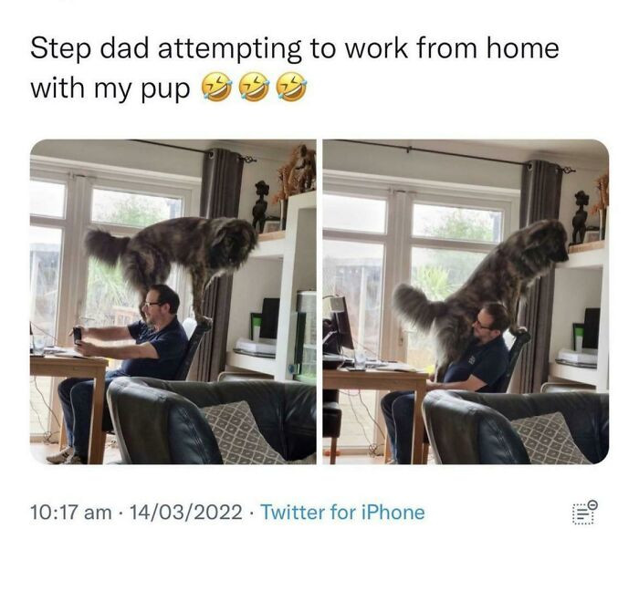 19. They said it would be fun if I got a dog