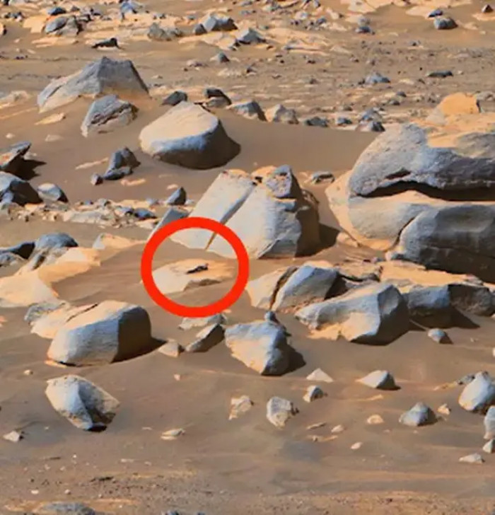 The image from the Mars rover where the alien-figure was found.
