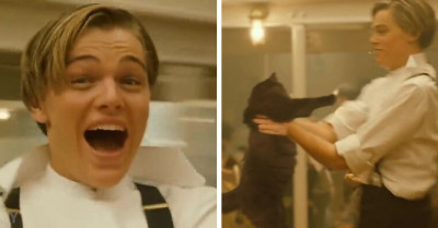 Man Revamps The Movie "Titanic" By Replacing Kate Winslet With His Cat, And The Outcome Is Hilarious