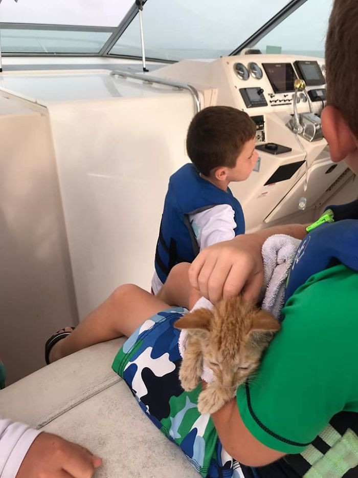 The people on the boat comforted the kitten to warm it up. He was so tiny and looked and felt weak.