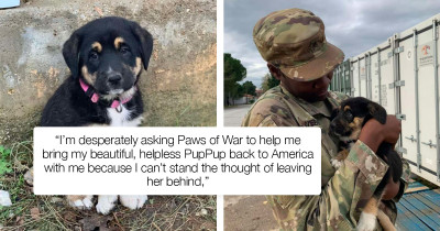 Adorable Puppy Rescued Afar Has A Heartwarming Reunion With the Army Sergeant Who Saved Her