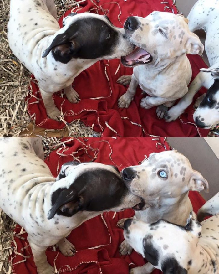 21. When someone's yawning, and you mistake it for something else.