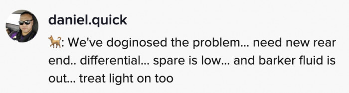 People were obviously concerned about Albus and did their best to 'doginose' the pup-blem.