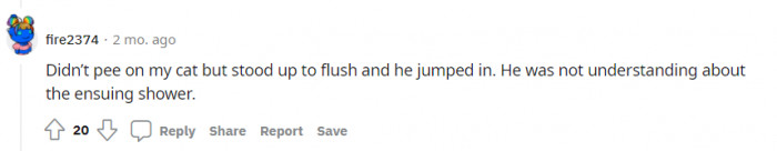 Cats are just curious, so you can't stop them.