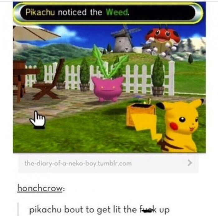 4. Pikachu knows a good high when he sees it