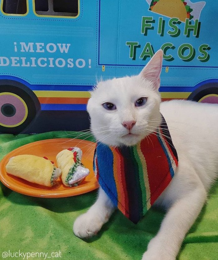 Penny is described as the